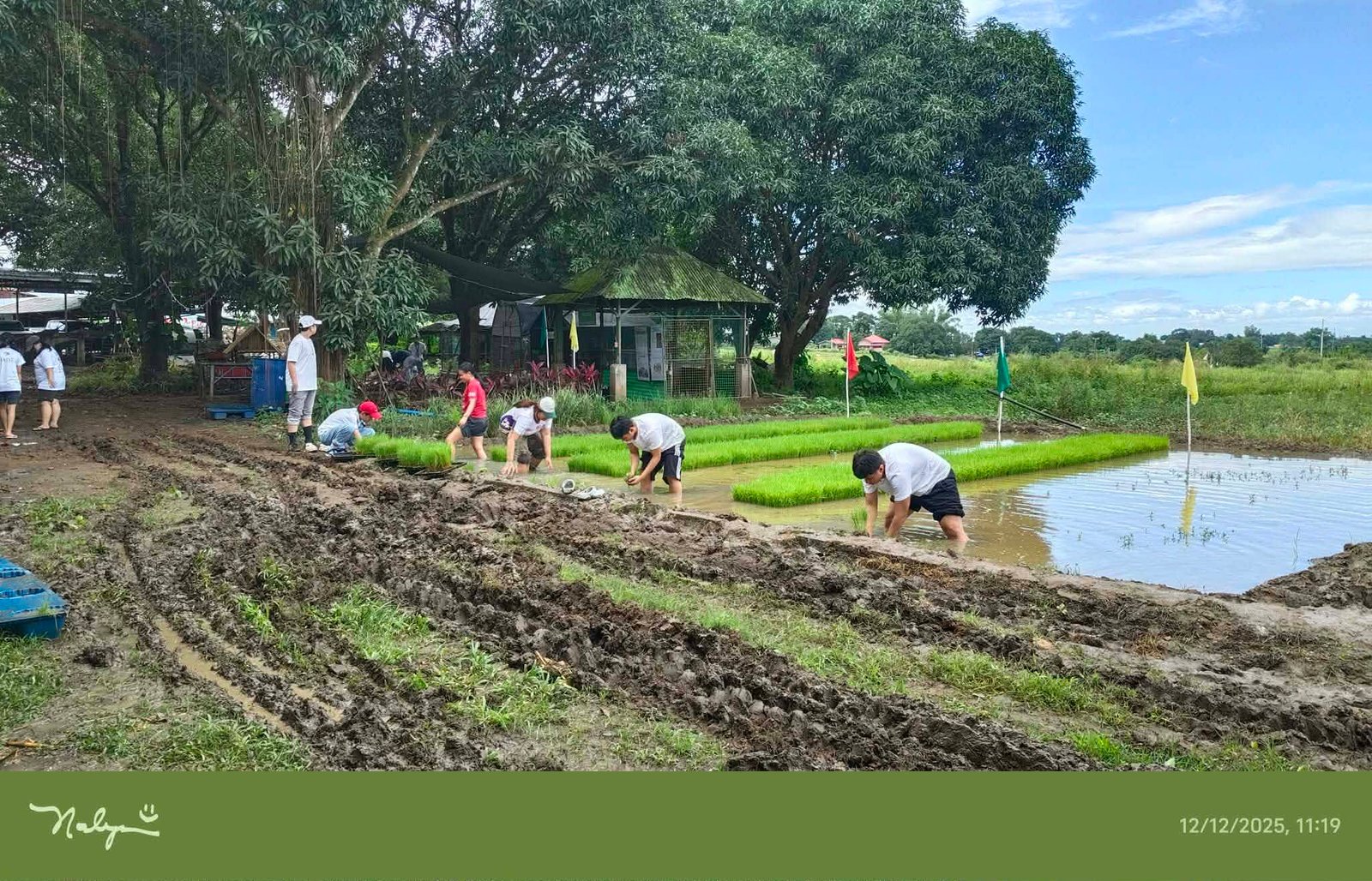 Hands-on Farming